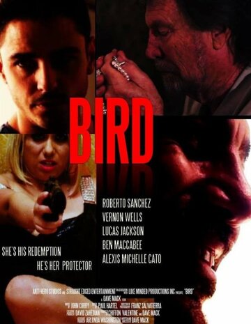 Постер к фильму Пташка (2020)