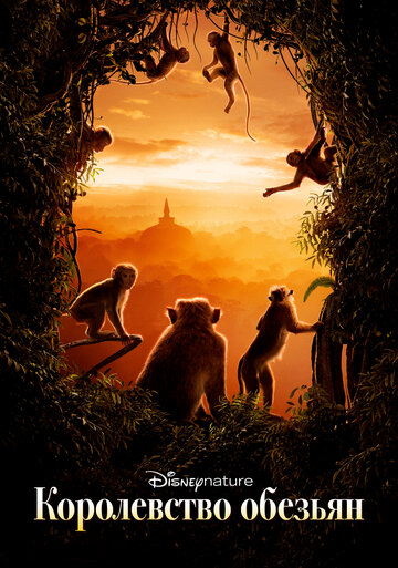 Постер к фильму Королевство обезьян (2015)