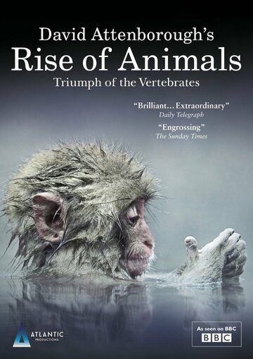 Постер к сериалу BBC. Восстание животных: Триумф позвоночных (2013)