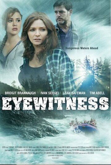 Постер к фильму Свидетели (ТВ) (2015)