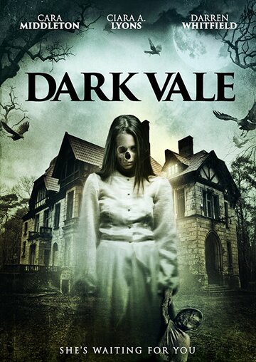Постер к фильму Dark Vale (2018)