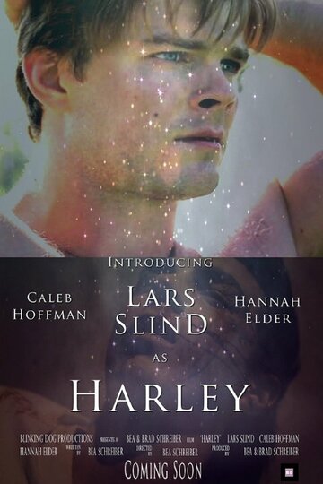 Постер к фильму Харли (2014)