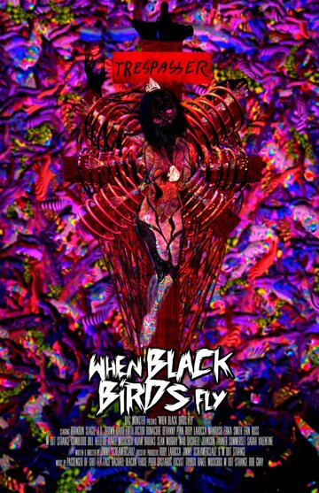 Постер к фильму Когда прилетают черные птицы (2016)