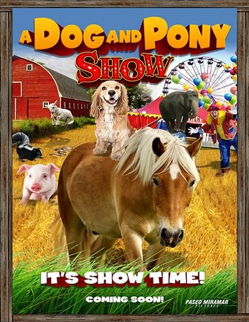 Постер к фильму Шоу собаки и пони (2018)