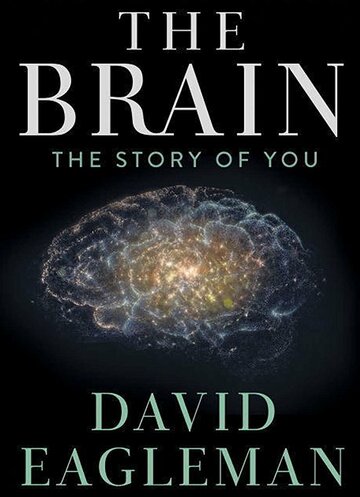 Постер к сериалу Мозг с Дэвидом Иглменом (2015)
