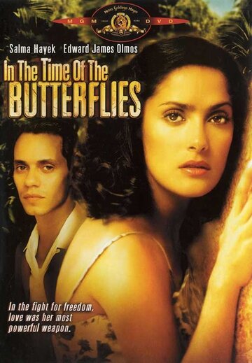 Постер к фильму Времена бабочек (2001)
