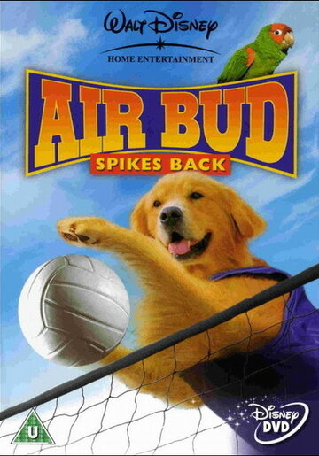 Постер к фильму Король воздуха: Возвращение (2003)
