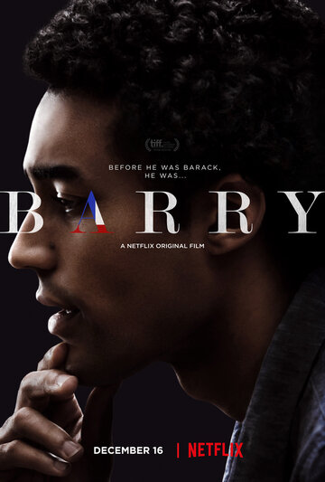 Постер к фильму Барри (2016)