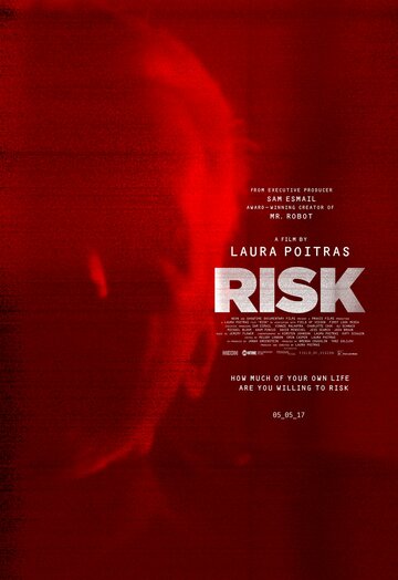 Постер к фильму Риск (2016)