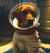 Просмотр фото