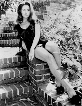 Elizabeth Montgomery’s Elizabeth Montgomery’s