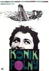 стрекоза 1954 фильм